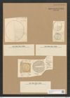 Campylodiscus ralfsii W. Sm. (de-Toni-Nr.: Genus 57, Species 2444) Zeichnungen Sammlung Grunow Nr. 4911 (NHMW-BOT-W0373114)